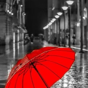 Meet your Posher, Marlene johnson